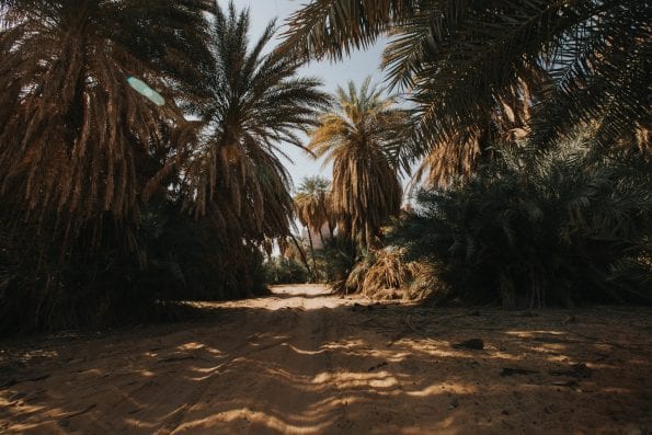 Wadi Al Disah - how to get there